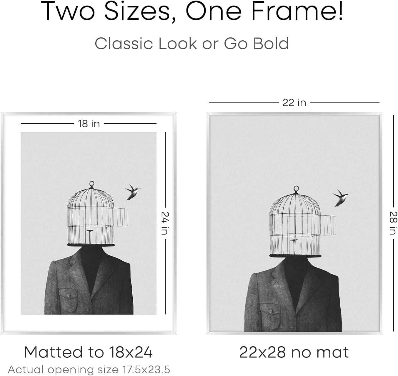 Homeforia Silver 22x28 Picture Frame, Rectangular Metal Poster Frame with Mat, 22 x 28 Frame Matted to 18 x 24 Photo, Wall Mount, Minimalist Style, Tempered Glass, Wall Hook Included