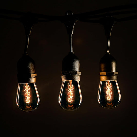 Hometown Evolution, Inc. E26 Outdoor Commercial String Lights with Suspended Socket for Weatherproof Heavy Duty Vintage Outside Lighting (S14 Zig Zag Edison 11 Watt Bulbs, 24 Foot 12 Socket)