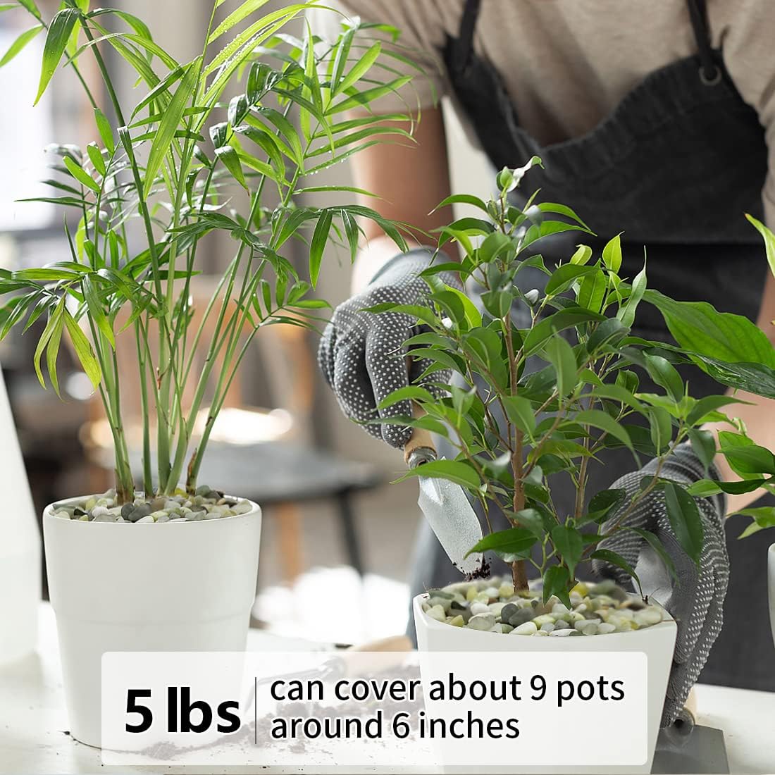 5LB Succulent and Cactus Pebbles, 1/5 Inch Jade Natural Decorative Polished Stones, River Rocks for Plants, Vases and Outdoor Gardening