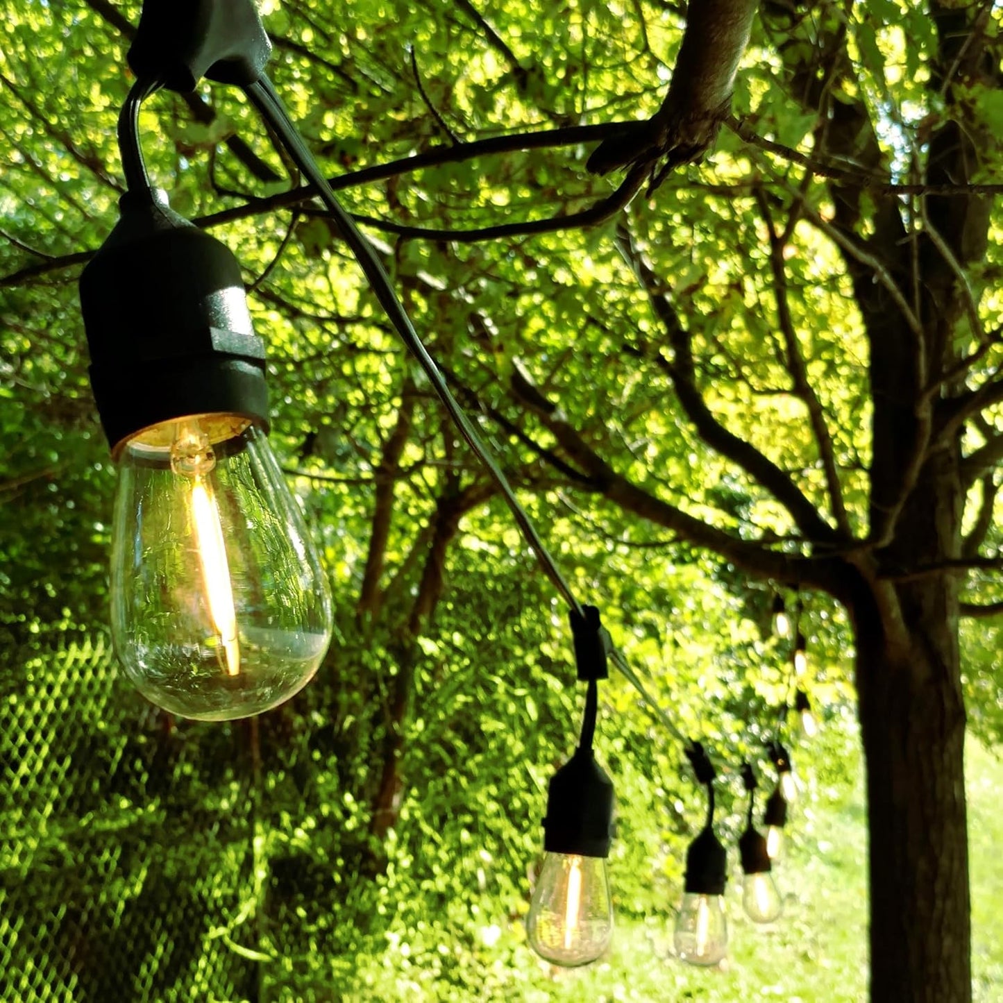 Hometown Evolution, Inc. 100 Foot E26 LED Outdoor Commercial String Lights with 50 Suspended Sockets and S14 LED Filament 1 Watt Bulbs